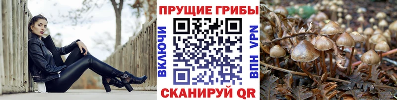 Псилоцибиновые грибы GOLDEN TEACHER mega маркетплейс Ревда