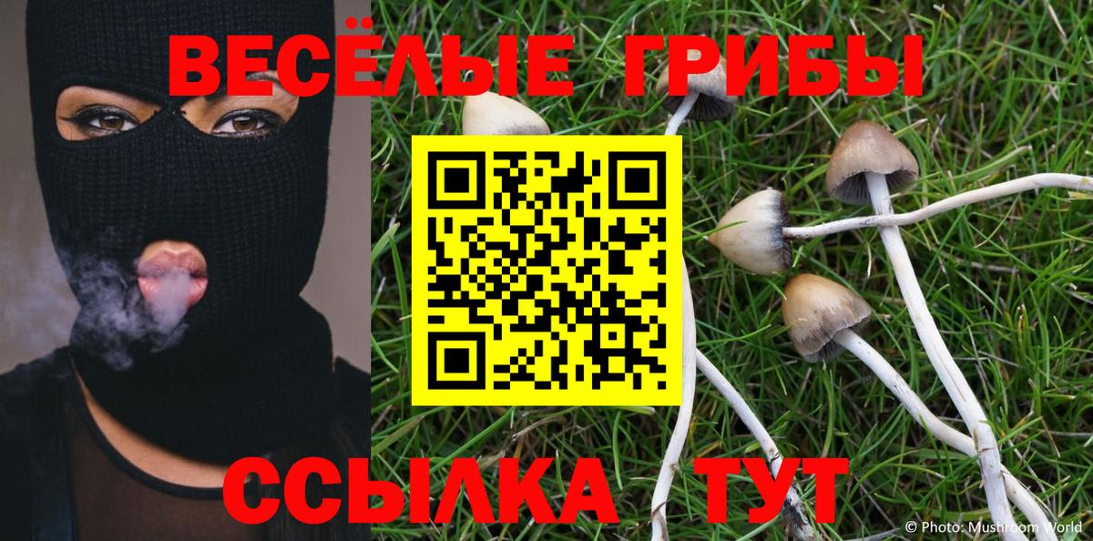 наркошоп  Псилоцибиновые грибы MAGIC MUSHROOMS  Вход с VPN  Ревда 
